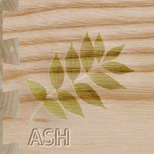 A ash leaf engraved on a piece of wood.