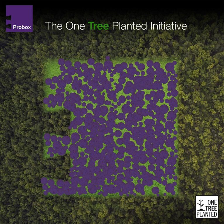 The one tree planted initiative.